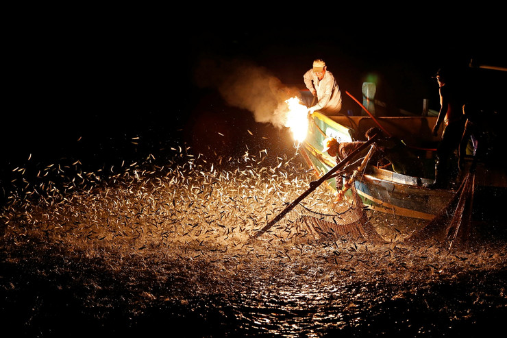 Pod velom noći mala grupa tajvanskih gribara otplovi do sjeveroistočne obale, zapali vatru na krajevima štapova od bambusa i čeka da riba dođe...