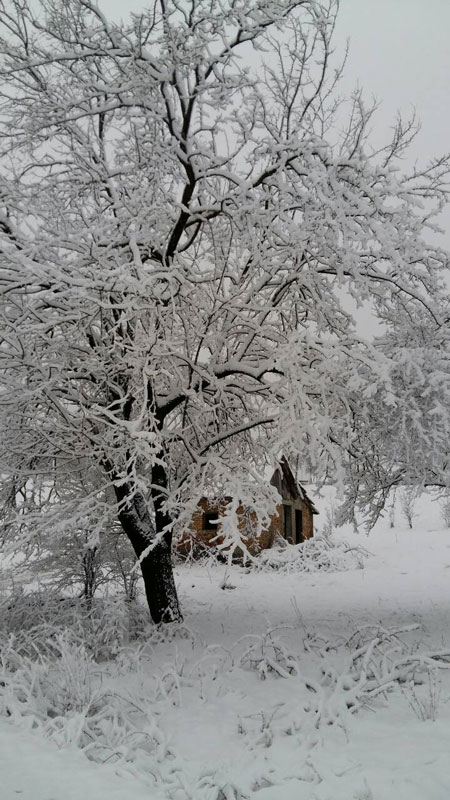 Zima u martu                  (Foto:Petar Zeljković)