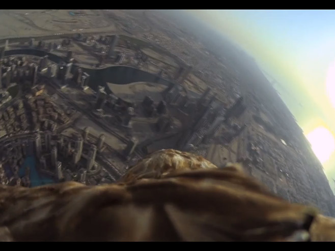 Orao Daršan iznad Dubaija - Foto: Screenshot/YouTube