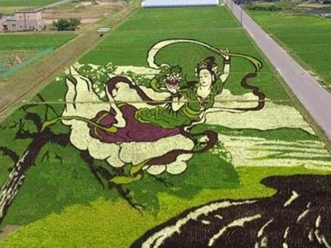 Umjetnost japanskih poljoprivrednika - Foto: Novosti.rs