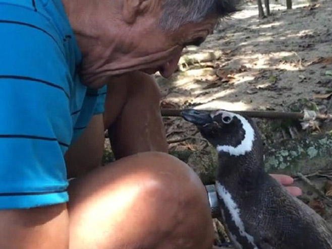 Čovjek i pingvin - Foto: Screenshot/YouTube