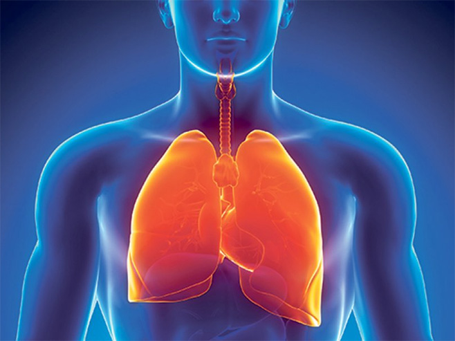 Pluća - ilustracija - Foto: Getty Images