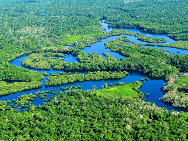 Šume Amazonije (foto:www.tt-group.net) - 