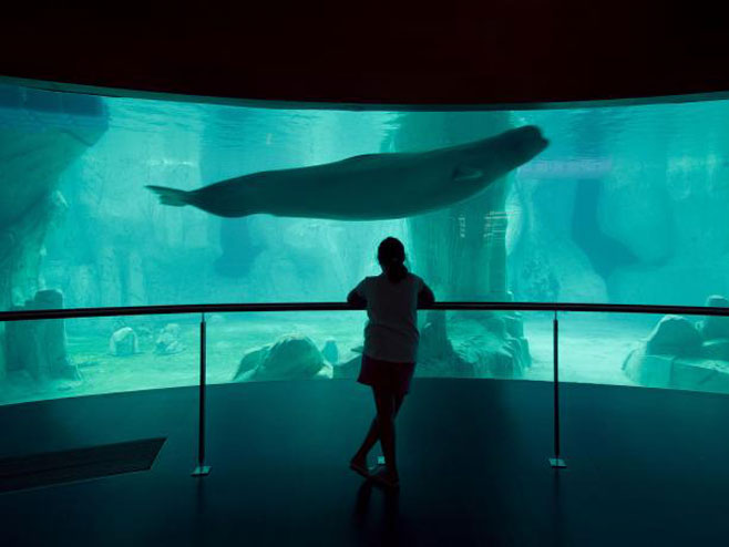 “Planet Ocean” - prvi podvodni hotel na svijetu - Foto: ilustracija