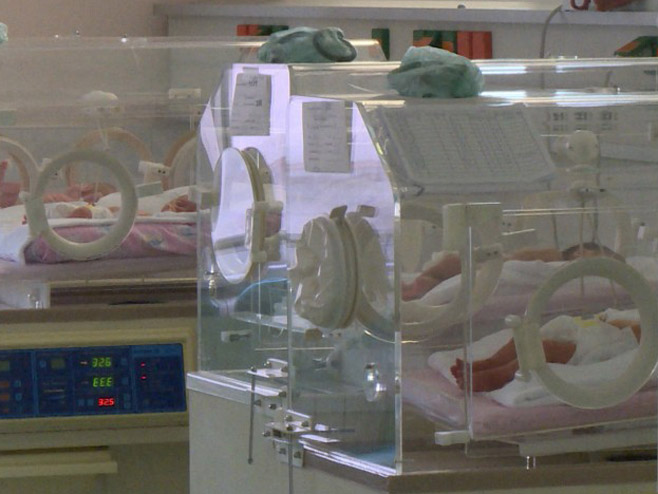 Inkubatori - Foto: ilustracija