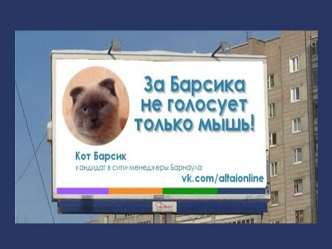 Stanovnici sibirskog grada traže mačka za gradonačelnika  (Foto: Altai Online) - 