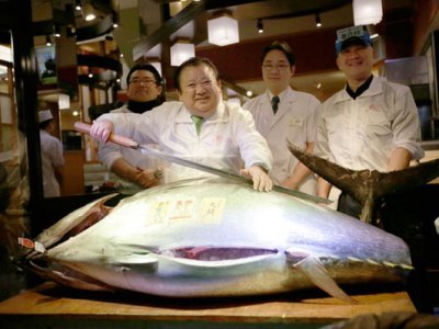 DŽinovska atlatska tuna (FOTO:AP/PRESS ASSOTIATION IMAGES) - 