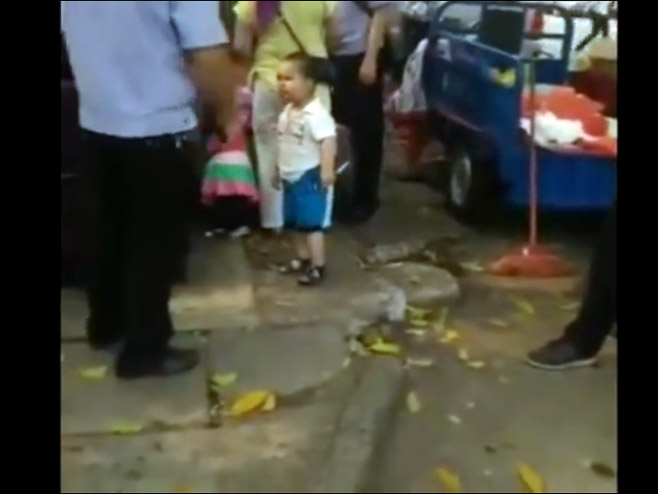 Neustrašivi dječak restjerao inspektore - Foto: Screenshot/YouTube