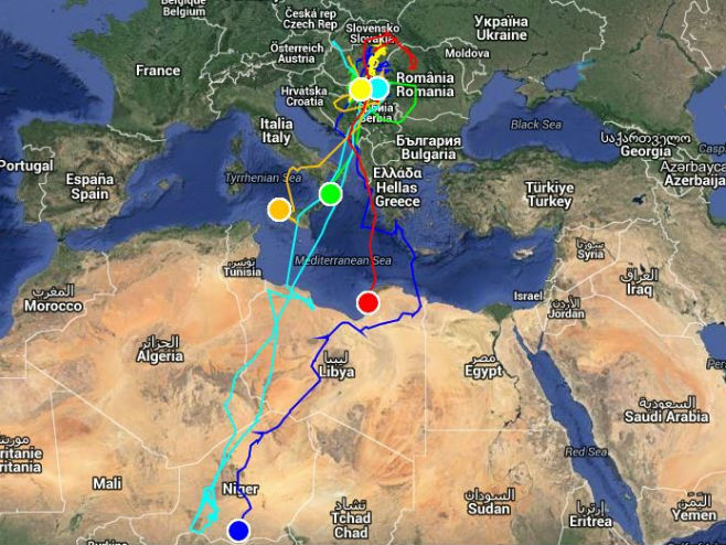 Mapa georeferenciranih putanja šest stepskih sokolova (Foto: CZIP ) - 