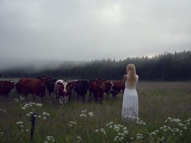 Švedska čobanica drevnom muzikom privlači krave kao magnetom - Foto: Screenshot/YouTube
