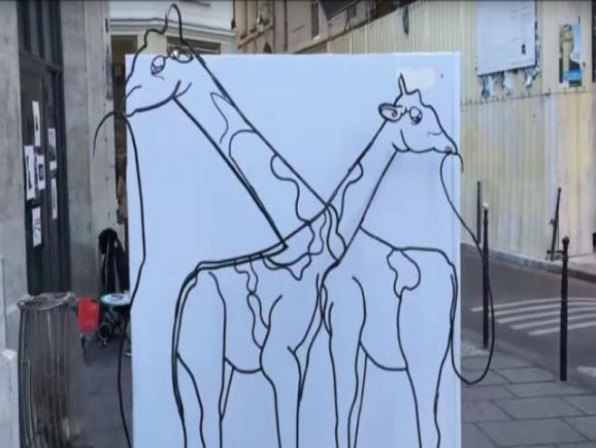 Da li vidite dvije žirafe ili slona? (Foto: Screenshot) - 