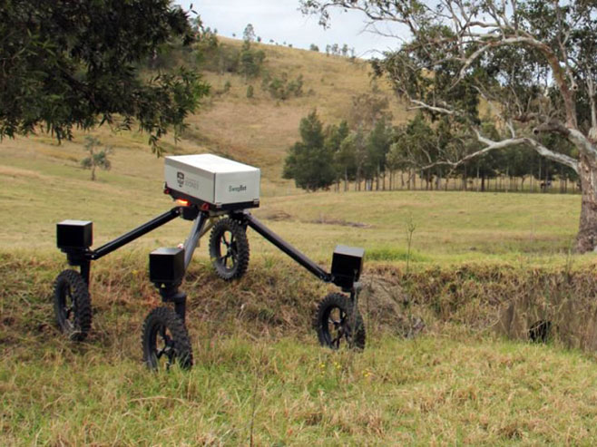 Robot koji čuva ovce - Foto: nezavisne novine