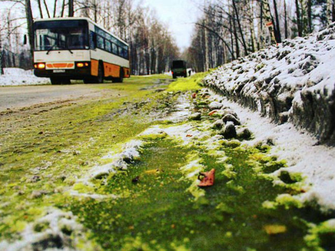 Zeleni snijeg u Rusiji (Foto: dailymail.co.uk) - 