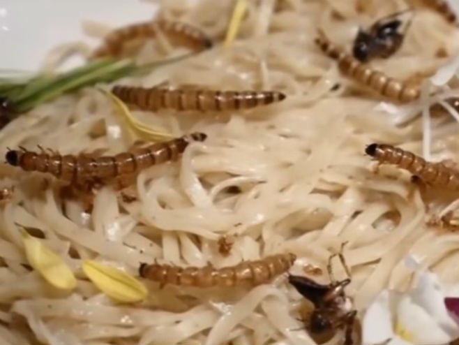 Rezanci sa insektima - Foto: Screenshot/YouTube