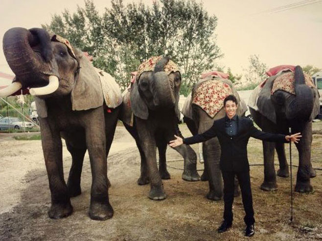 Akrobacije sa slonovima (foto: Facebook ) - 
