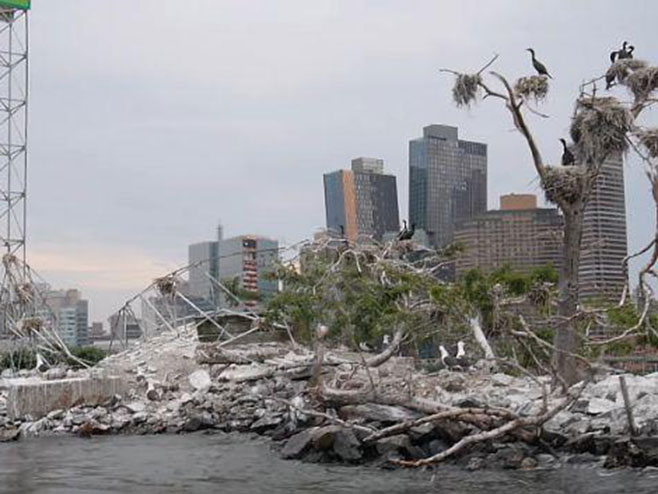 Ostrvo u Njujorku koje je strogo zabranjeno za javnost - Foto: Screenshot/YouTube