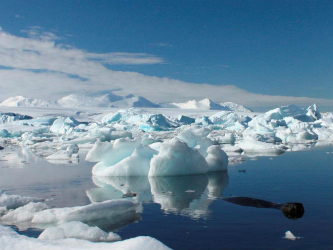 Topljenje leda na Antarktiku (Foto: newsweek.com) - 