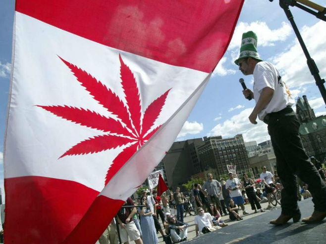 Kanada legalizovala marijuanu - Foto: getty